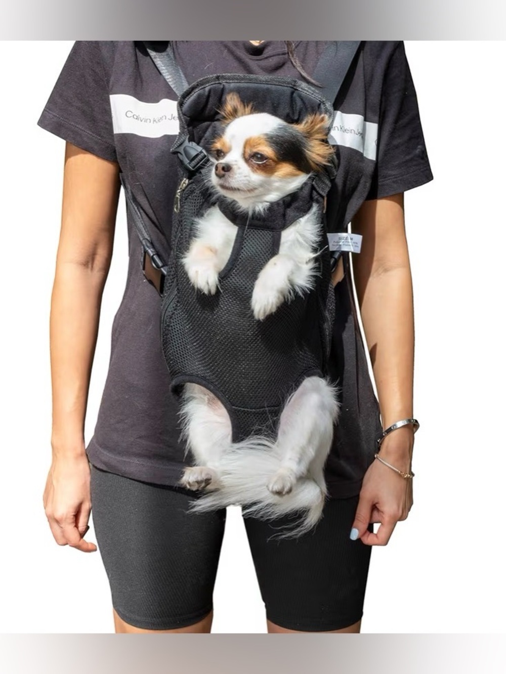 Mr. Pen- Pet Carrier Backpack